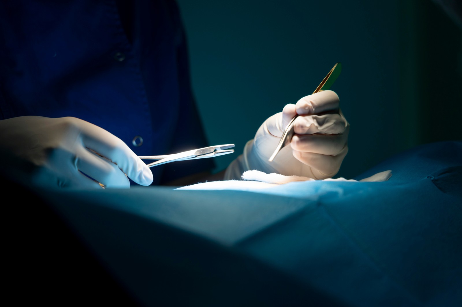 Veterinary surgical suite